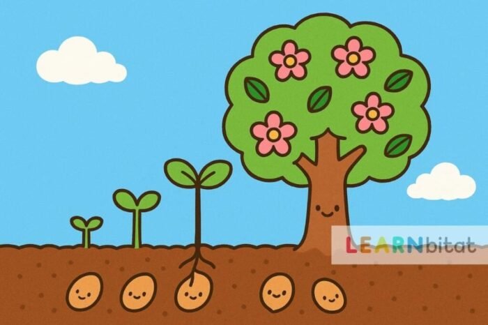 Reading & Listening Comprehension Exercises for First Graders - Passages with Questions and Answers - 1st Grade - Seeds to Plants