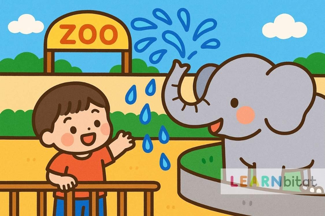 Reading & Listening Comprehension Exercises for First Graders - Passages with Questions and Answers - 1st Grade - Animals & Insects - Elephants